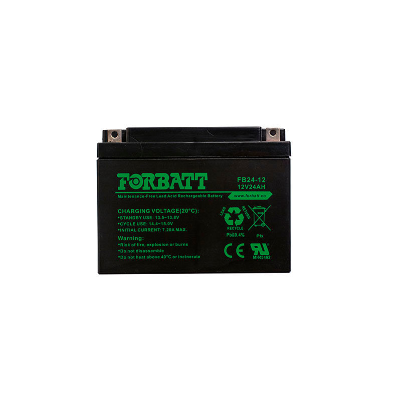 Forbatt 12V 24Ah AGM VRLA Battery | UPS, Security, Medical Equipment | 18BAT-12V24-FBC