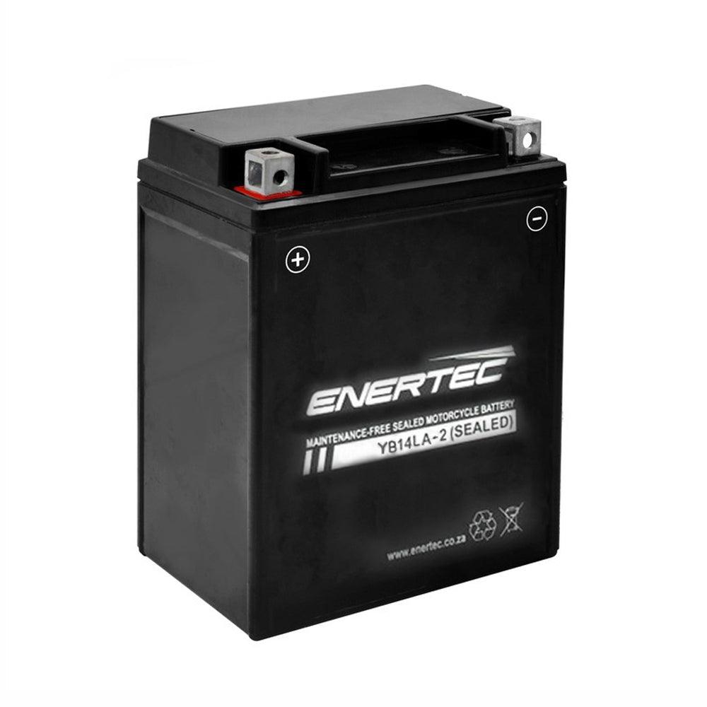 Enertec YB14LA-2 12v 14Ah AGM Motorcycle Battery - Global Batteries SA