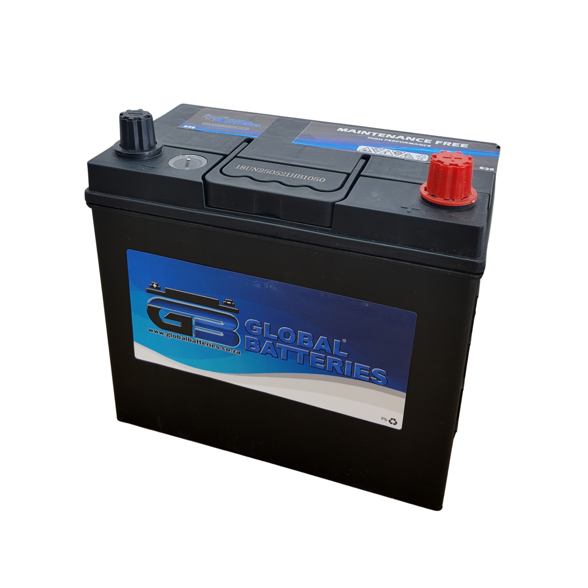 GLOBAL 636 Automotive Battery | 12V 36Ah 275CCA | Maintenance-Free 12 Month Warranty
