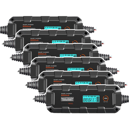 MASTODON F6000 12V/6V 6AH Intelligent Battery Charger (Smart Charger with Trickle Charge and LCD Display) 6 Pack