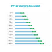 MASTODON F6000 12V/6V 6AH INTELLIGENT BATTERY CHARGER - Global Batteries SA